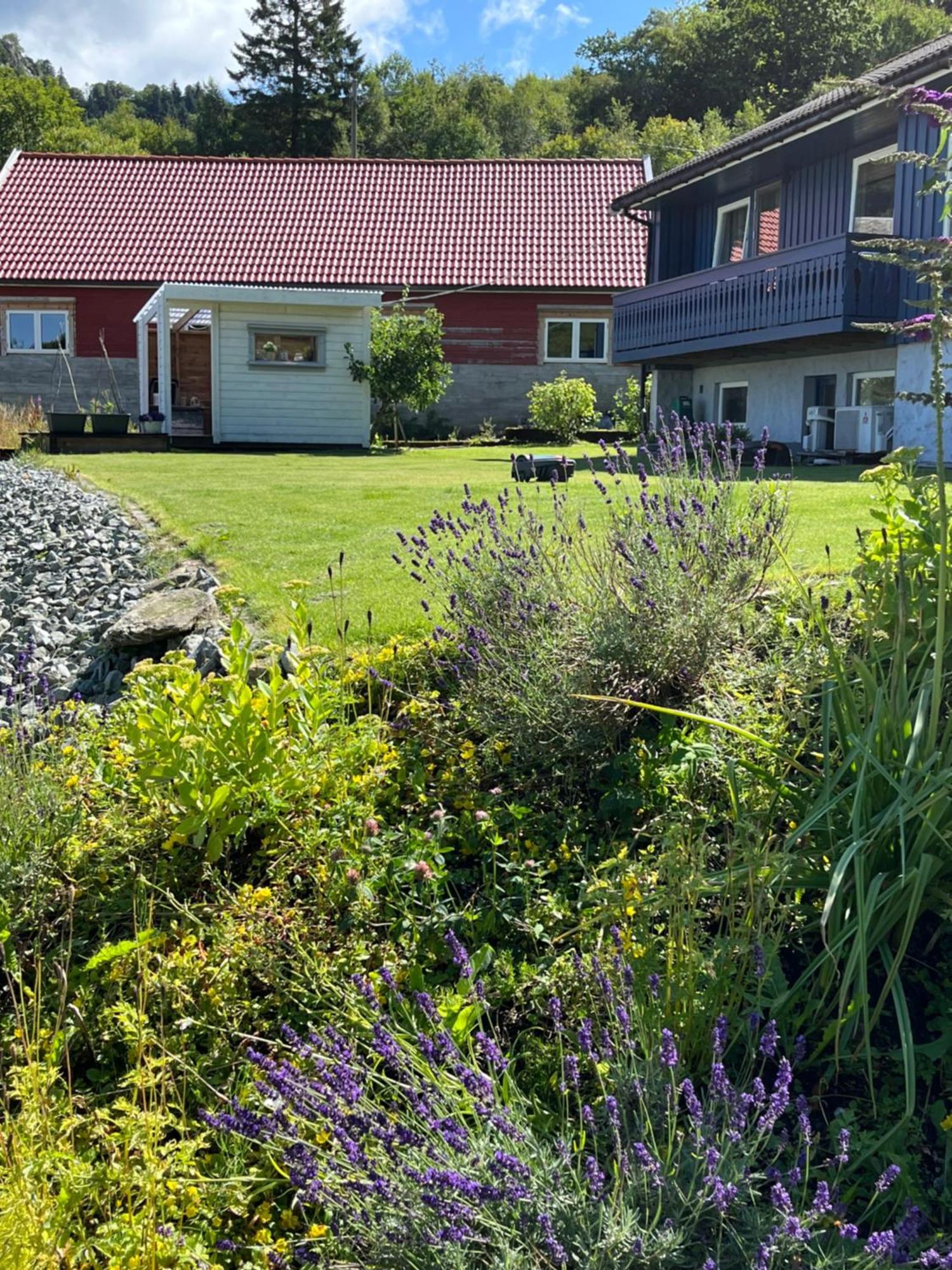 Kjolevik Apartamento Jørpeland Exterior foto